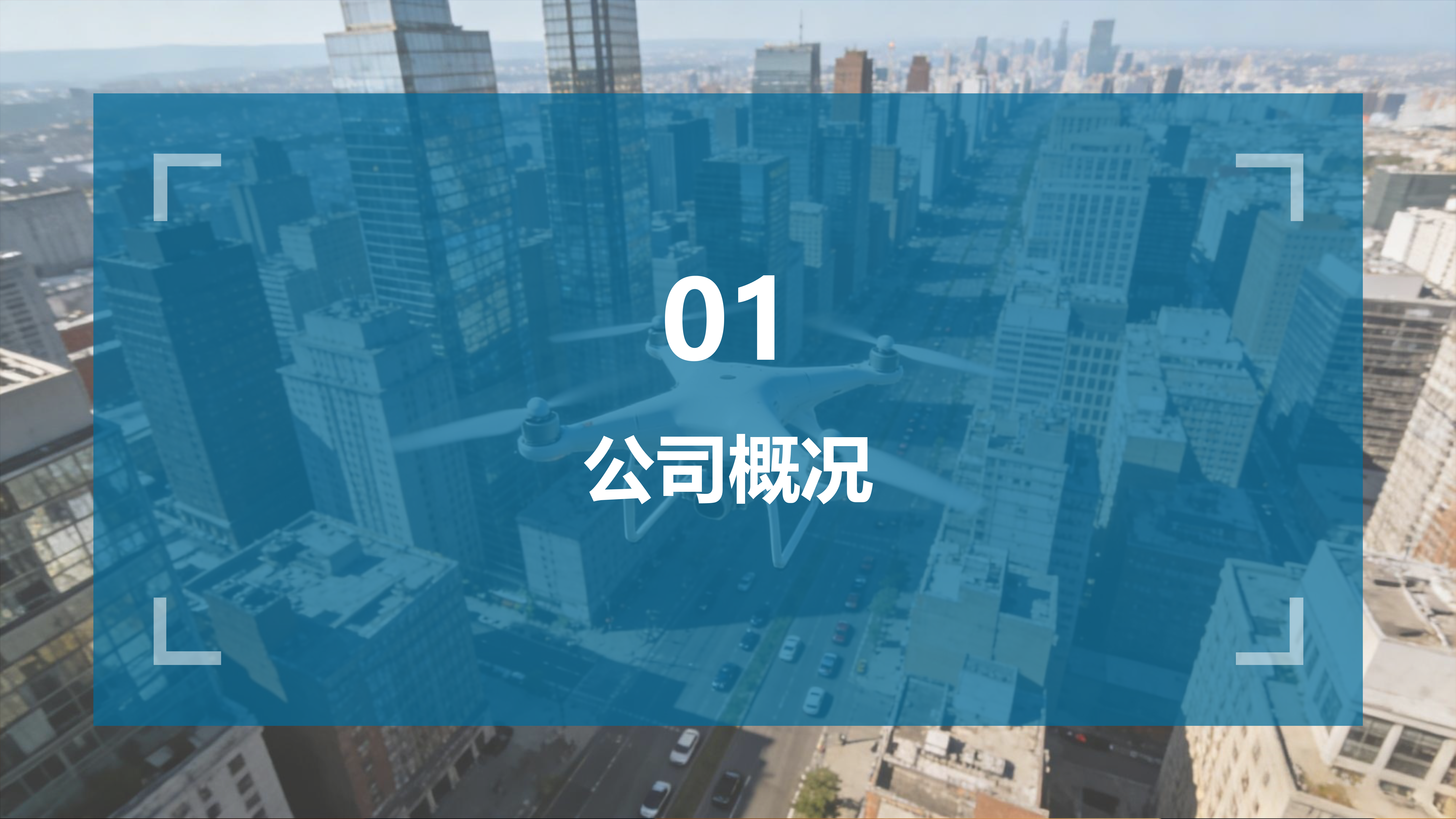公司概况 - 基础信息介绍